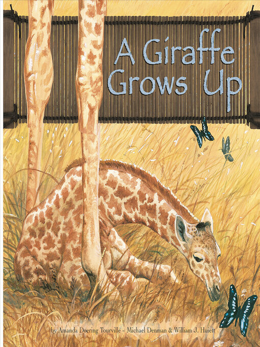 Title details for A Giraffe Grows Up by Michael Denman - Available